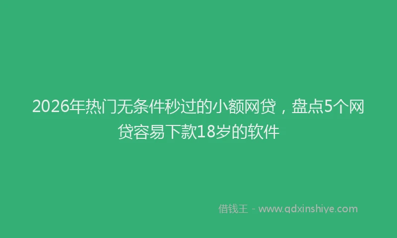 2026年热门无条件秒过的小额网贷，盘点5个网贷容易下款18岁的软件