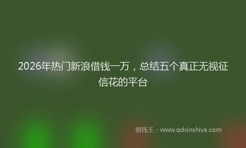 2026年热门新浪借钱一万，总结五个真正无视征信花的平台