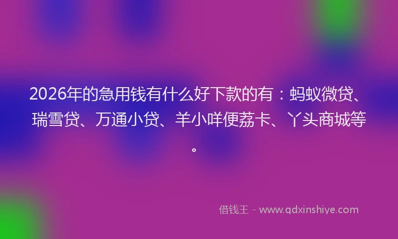 2026年的急用钱有什么好下款的有：蚂蚁微贷、瑞雪贷、万通小贷、羊小咩便荔卡、丫头商城等。
