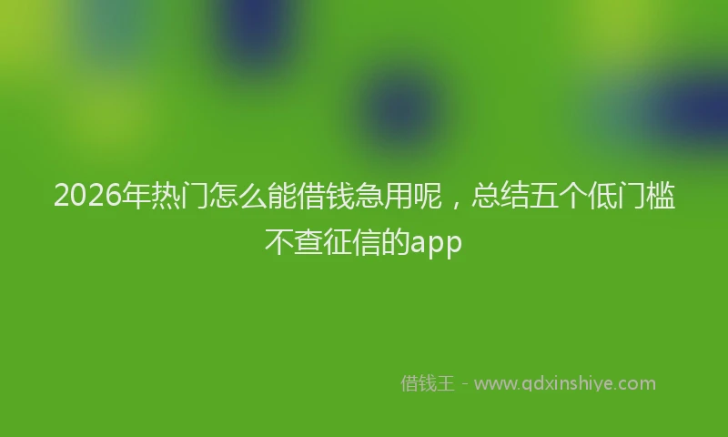 2026年热门怎么能借钱急用呢，总结五个低门槛不查征信的app