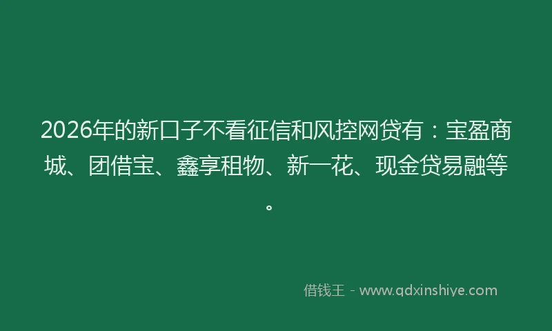 2026年的新口子不看征信和风控网贷有：宝盈商城、团借宝、鑫享租物、新一花、现金贷易融等。