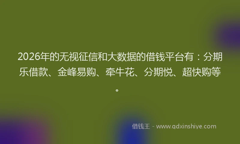 2026年的无视征信和大数据的借钱平台有：分期乐借款、金峰易购、牵牛花、分期悦、超快购等。