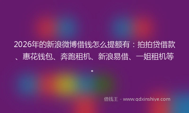 2026年的新浪微博借钱怎么提额有：拍拍贷借款、惠花钱包、奔跑租机、新浪易借、一姐租机等。