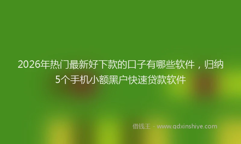 2026年热门最新好下款的口子有哪些软件，归纳5个手机小额黑户快速贷款软件