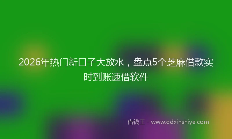 2026年热门新口子大放水，盘点5个芝麻借款实时到账速借软件