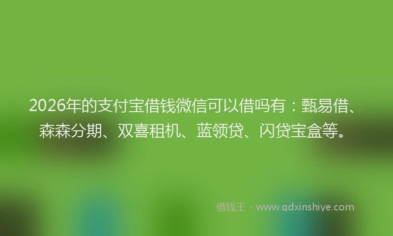 2026年的支付宝借钱微信可以借吗有：甄易借、森森分期、双喜租机、蓝领贷、闪贷宝盒等。