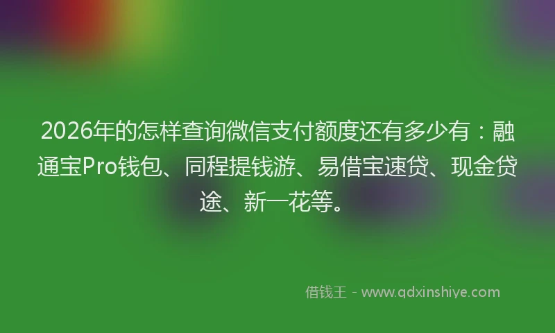 2026年的怎样查询微信支付额度还有多少有：融通宝Pro钱包、同程提钱游、易借宝速贷、现金贷途、新一花等。