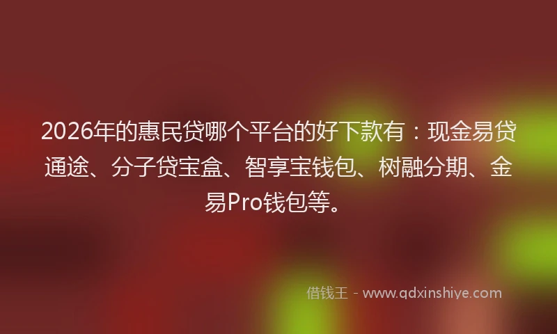 2026年的惠民贷哪个平台的好下款有：现金易贷通途、分子贷宝盒、智享宝钱包、树融分期、金易Pro钱包等。
