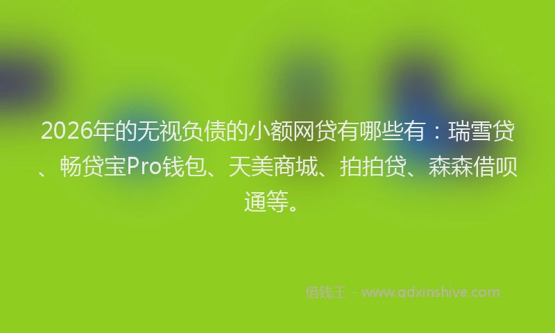 2026年的无视负债的小额网贷有哪些有：瑞雪贷、畅贷宝Pro钱包、天美商城、拍拍贷、森森借呗通等。