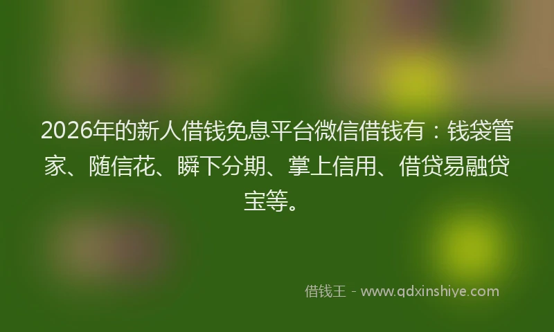 2026年的新人借钱免息平台微信借钱有：钱袋管家、随信花、瞬下分期、掌上信用、借贷易融贷宝等。