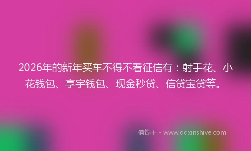 2026年的新年买车不得不看征信有：射手花、小花钱包、享宇钱包、现金秒贷、信贷宝贷等。