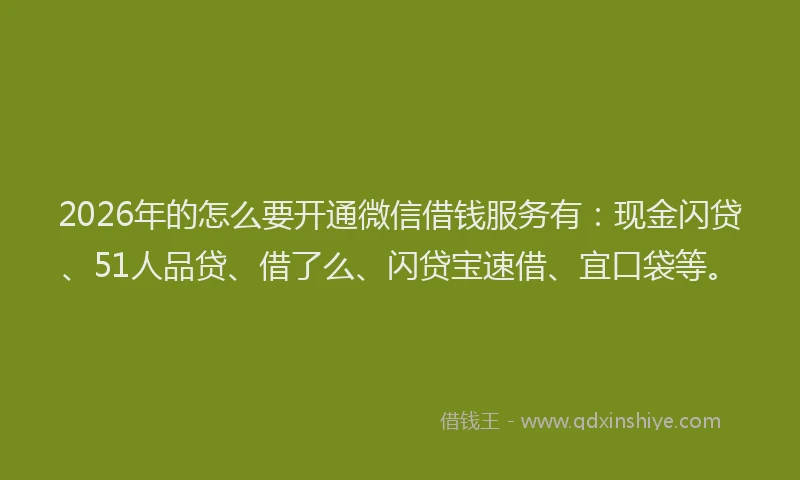 2026年的怎么要开通微信借钱服务有：现金闪贷、51人品贷、借了么、闪贷宝速借、宜口袋等。