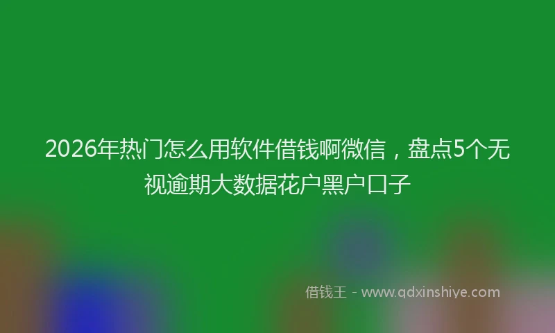 2026年热门怎么用软件借钱啊微信，盘点5个无视逾期大数据花户黑户口子