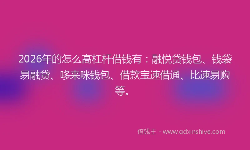 2026年的怎么高杠杆借钱有：融悦贷钱包、钱袋易融贷、哆来咪钱包、借款宝速借通、比速易购等。