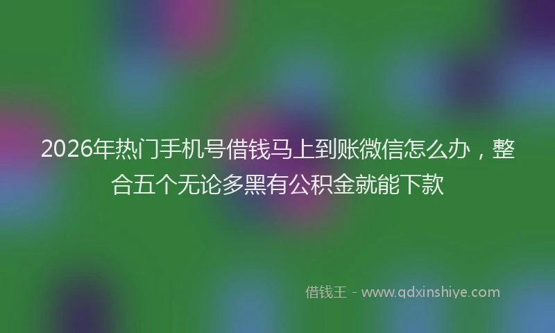 2026年热门手机号借钱马上到账微信怎么办,整合五个无论多黑有公积金就能下款