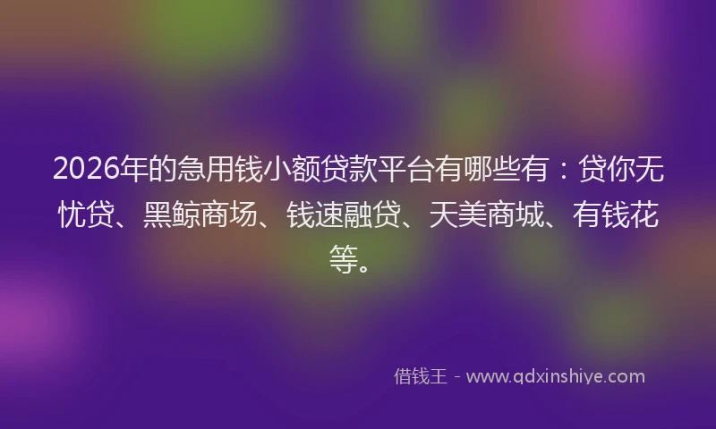 2026年的急用钱小额贷款平台有哪些有：贷你无忧贷、黑鲸商场、钱速融贷、天美商城、有钱花等。