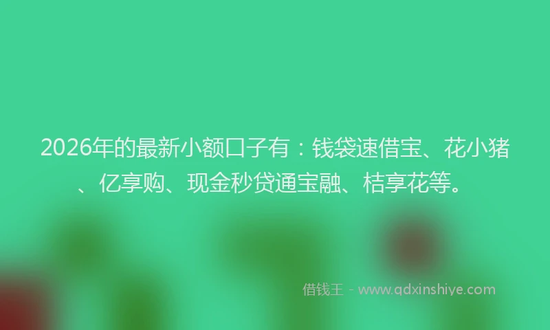 2026年的最新小额口子有：钱袋速借宝、花小猪、亿享购、现金秒贷通宝融、桔享花等。