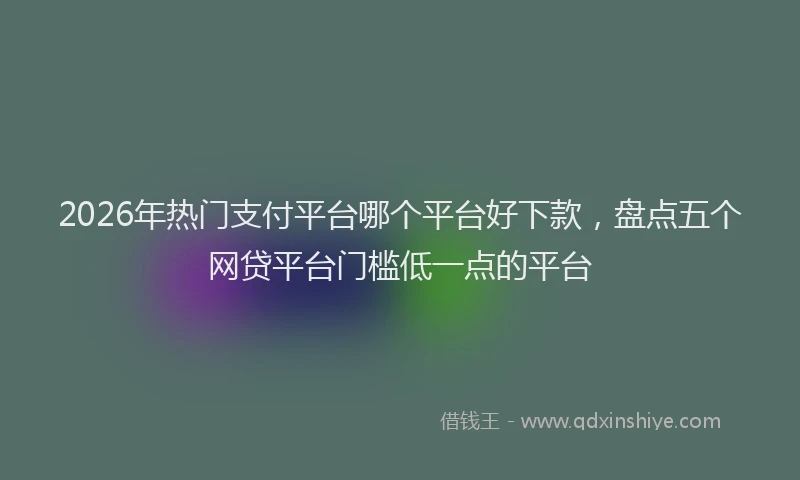 2026年热门支付平台哪个平台好下款,盘点五个网贷平台门槛低一点的平台