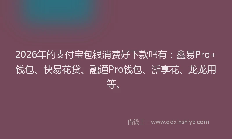 2026年的支付宝包银消费好下款吗有:鑫易Pro+钱包、快易花贷、融通Pro钱包、浙享花、龙龙用等。