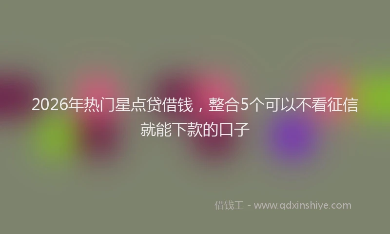 2026年热门星点贷借钱，整合5个可以不看征信就能下款的口子