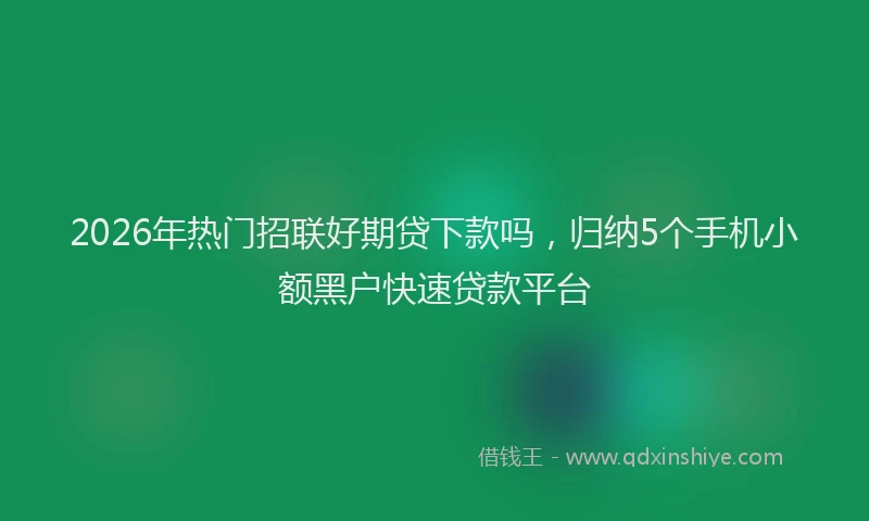 2026年热门招联好期贷下款吗，归纳5个手机小额黑户快速贷款平台