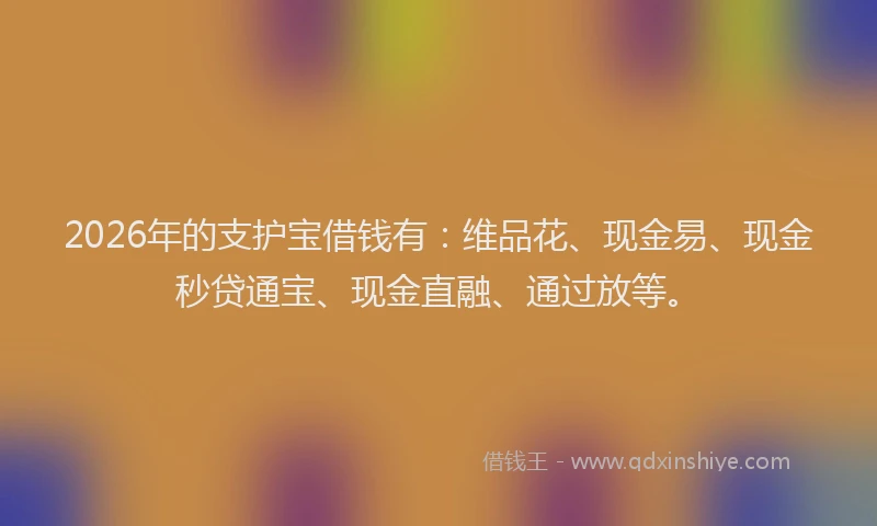 2026年的支护宝借钱有：维品花、现金易、现金秒贷通宝、现金直融、通过放等。
