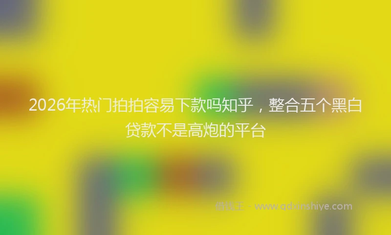2026年热门拍拍容易下款吗知乎，整合五个黑白贷款不是高炮的平台