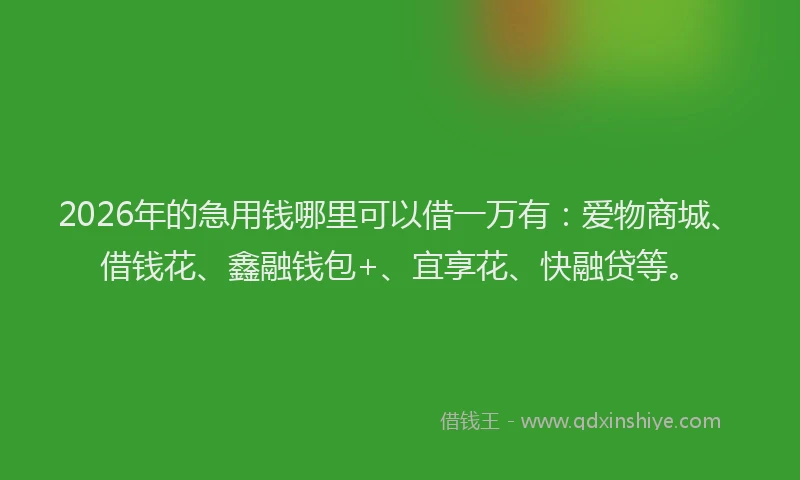 2026年的急用钱哪里可以借一万有：爱物商城、借钱花、鑫融钱包+、宜享花、快融贷等。