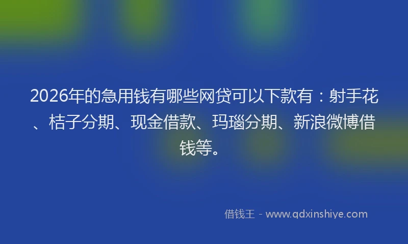 2026年的急用钱有哪些网贷可以下款有：射手花、桔子分期、现金借款、玛瑙分期、新浪微博借钱等。