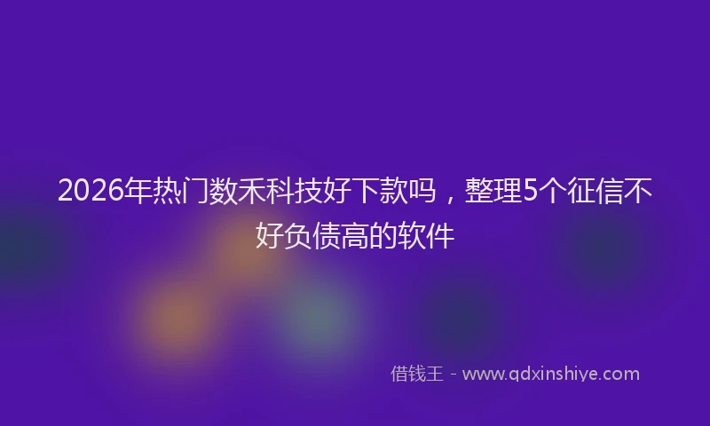 2026年热门数禾科技好下款吗，整理5个征信不好负债高的软件