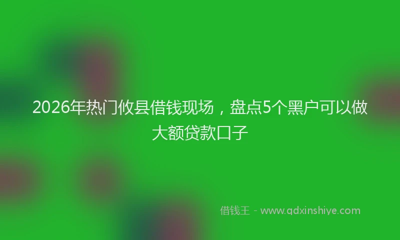 2026年热门攸县借钱现场，盘点5个黑户可以做大额贷款口子