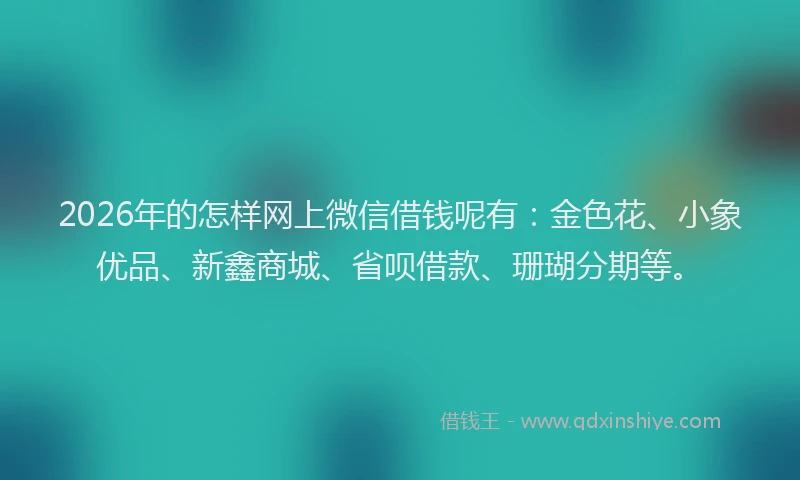 2026年的怎样网上微信借钱呢有：金色花、小象优品、新鑫商城、省呗借款、珊瑚分期等。