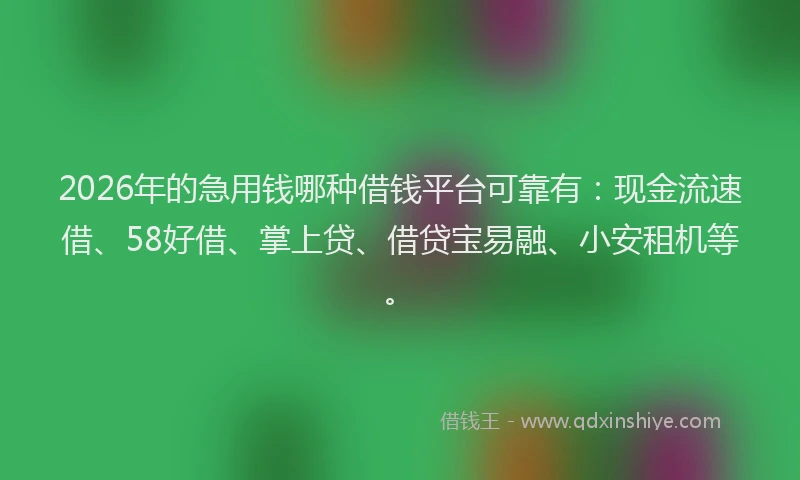 2026年的急用钱哪种借钱平台可靠有：现金流速借、58好借、掌上贷、借贷宝易融、小安租机等。