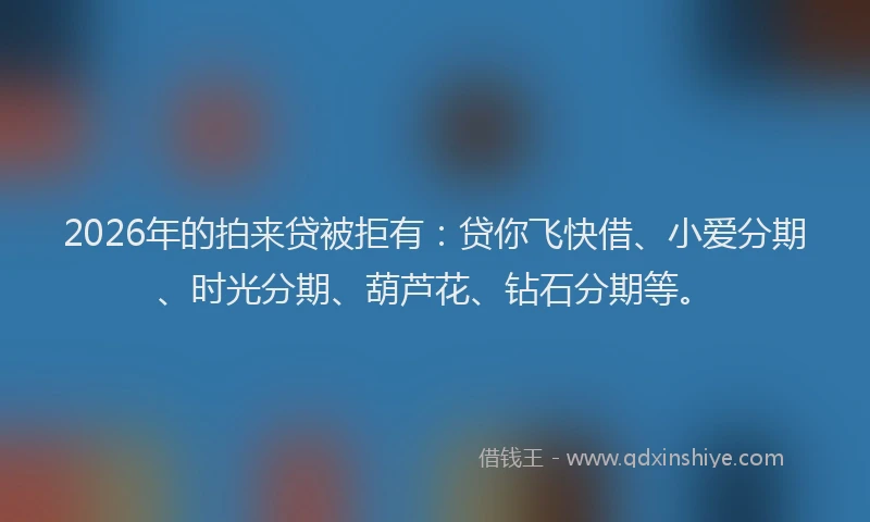 2026年的拍来贷被拒有：贷你飞快借、小爱分期、时光分期、葫芦花、钻石分期等。