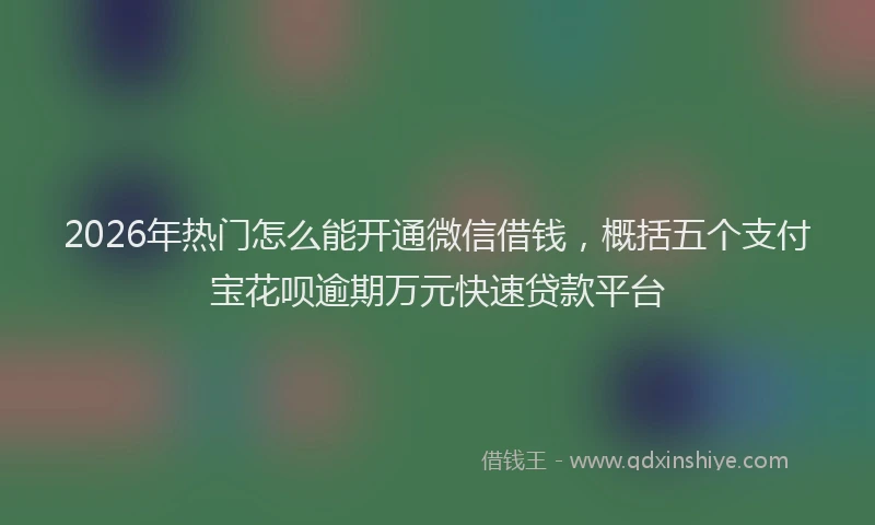 2026年热门怎么能开通微信借钱，概括五个支付宝花呗逾期万元快速贷款平台