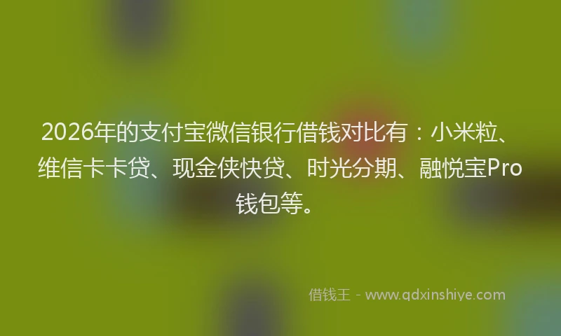 2026年的支付宝微信银行借钱对比有：小米粒、维信卡卡贷、现金侠快贷、时光分期、融悦宝Pro钱包等。