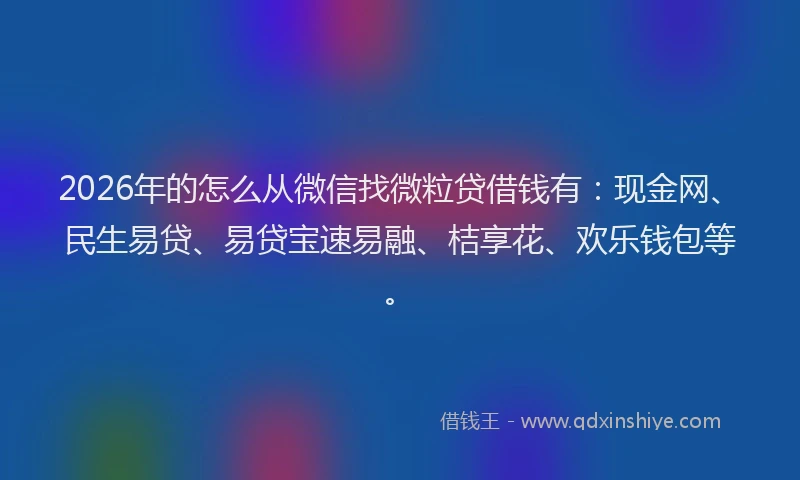 2026年的怎么从微信找微粒贷借钱有：现金网、民生易贷、易贷宝速易融、桔享花、欢乐钱包等。