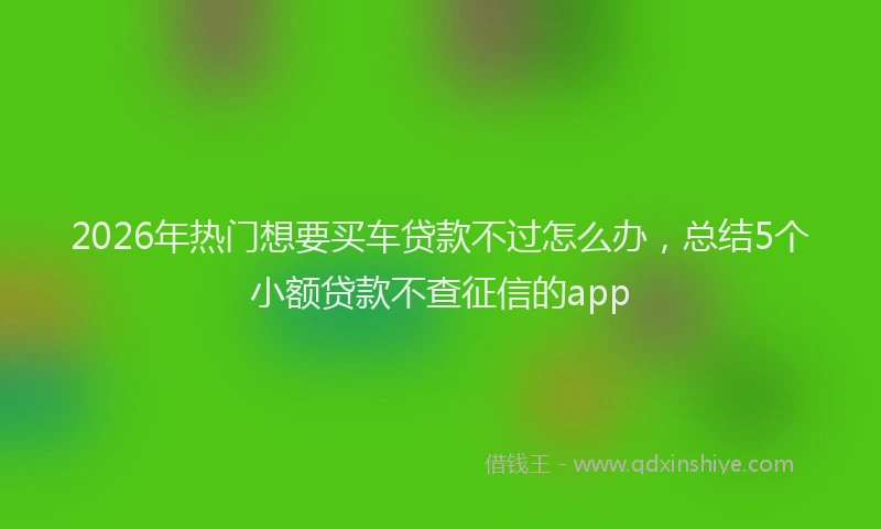 2026年热门想要买车贷款不过怎么办，总结5个小额贷款不查征信的app