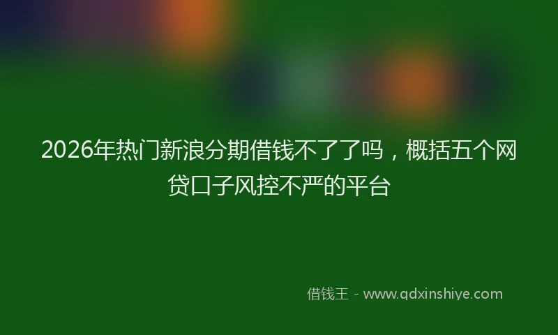 2026年热门新浪分期借钱不了了吗，概括五个网贷口子风控不严的平台