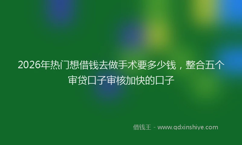 2026年热门想借钱去做手术要多少钱，整合五个审贷口子审核加快的口子
