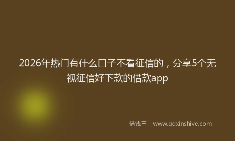 2026年热门有什么口子不看征信的，分享5个无视征信好下款的借款app