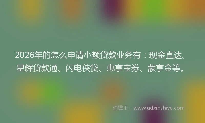 2026年的怎么申请小额贷款业务有：现金直达、星辉贷款通、闪电侠贷、惠享宝券、蒙享金等。