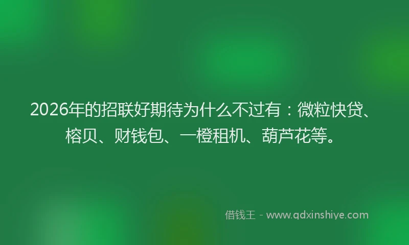 2026年的招联好期待为什么不过有：微粒快贷、榕贝、财钱包、一橙租机、葫芦花等。