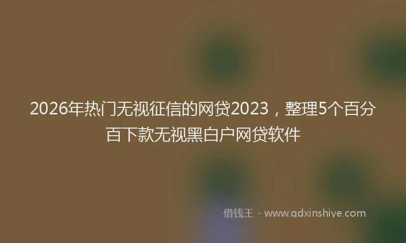 2026年热门无视征信的网贷2023，整理5个百分百下款无视黑白户网贷软件