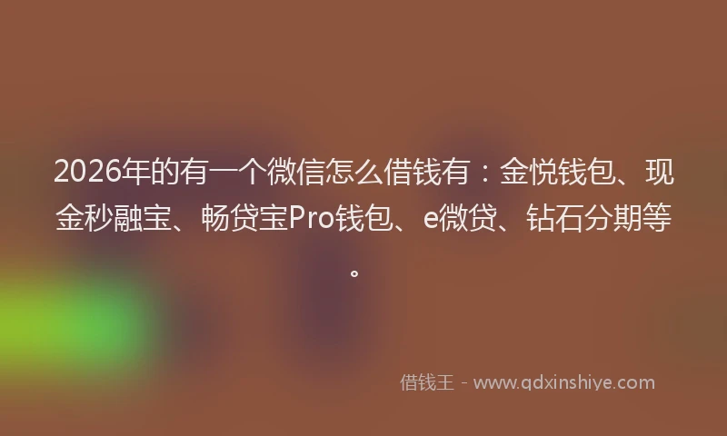 2026年的有一个微信怎么借钱有：金悦钱包、现金秒融宝、畅贷宝Pro钱包、e微贷、钻石分期等。