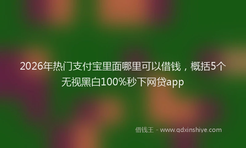 2026年热门支付宝里面哪里可以借钱，概括5个无视黑白100%秒下网贷app