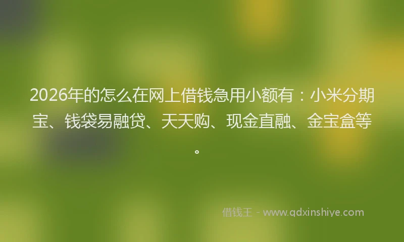 2026年的怎么在网上借钱急用小额有：小米分期宝、钱袋易融贷、天天购、现金直融、金宝盒等。