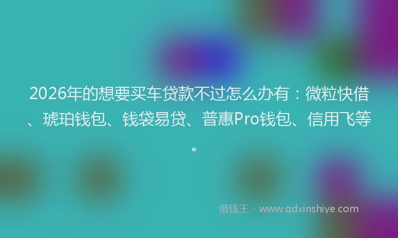 2026年的想要买车贷款不过怎么办有：微粒快借、琥珀钱包、钱袋易贷、普惠Pro钱包、信用飞等。