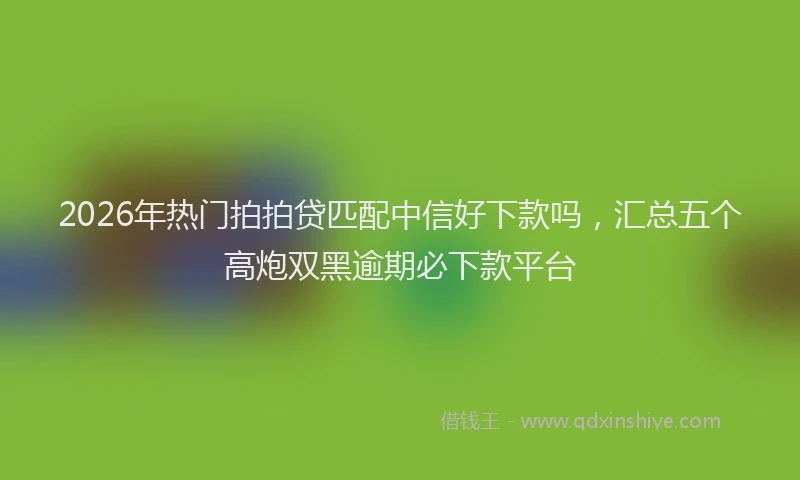 2026年热门拍拍贷匹配中信好下款吗，汇总五个高炮双黑逾期必下款平台