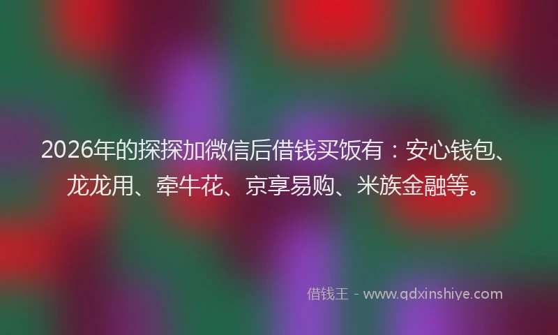 2026年的探探加微信后借钱买饭有：安心钱包、龙龙用、牵牛花、京享易购、米族金融等。